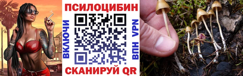 Галлюциногенные грибы мухоморы  Геленджик 